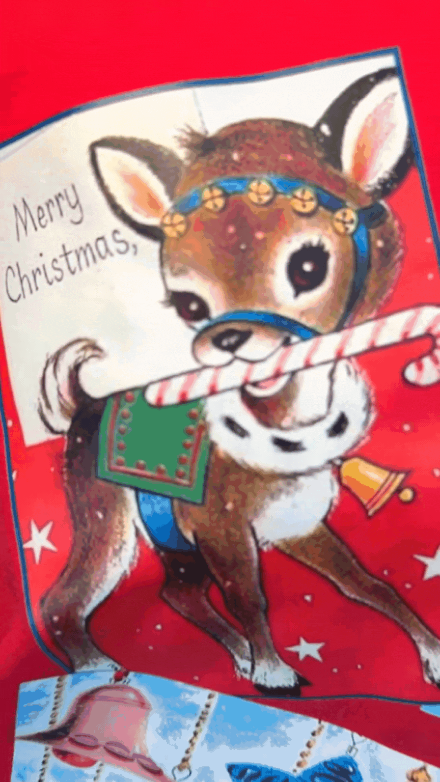 The Christmas Cards Sequin Long Sleeve Top