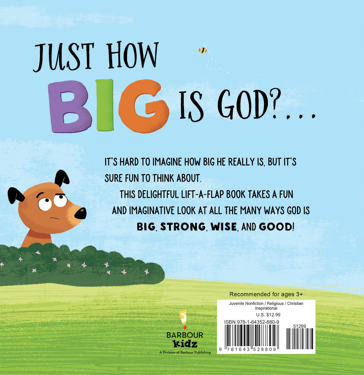 How Big is God? A Lift-A-Flap Book for Kids