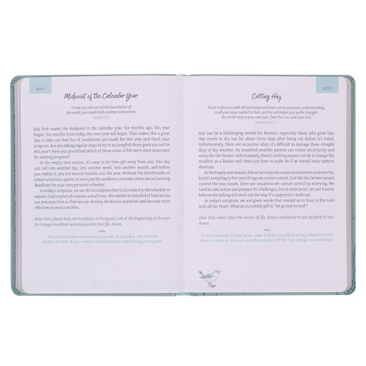 Daily Hope for the Empty Nest Faux Leather Devotional