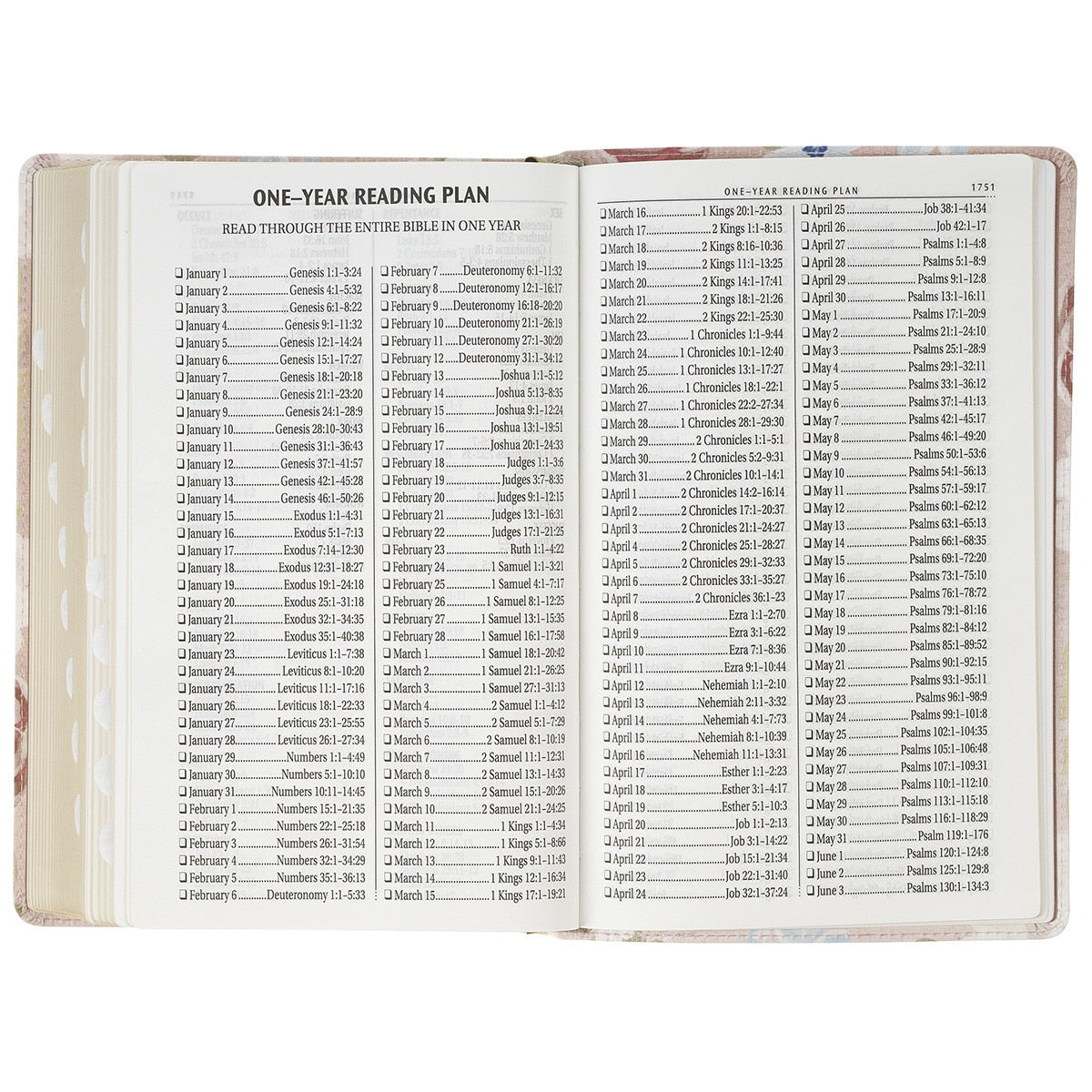 KJV Bible Giant Print in Floral Print Faux Leather