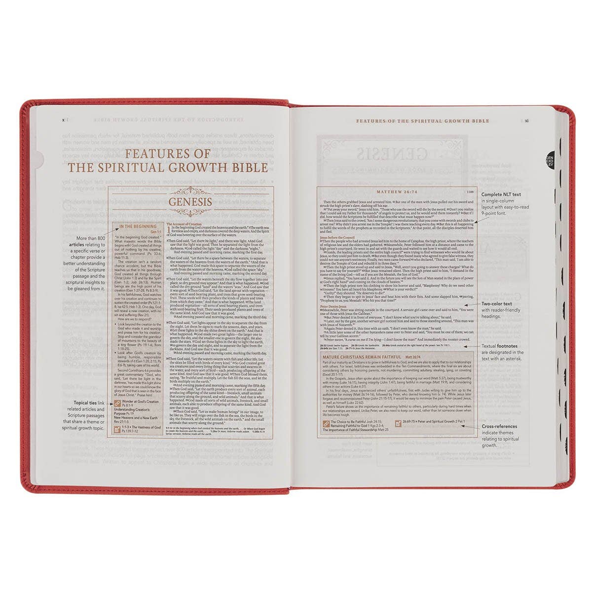 NLT, The Spiritual Growth Bible Faux Leather, Coral Vines