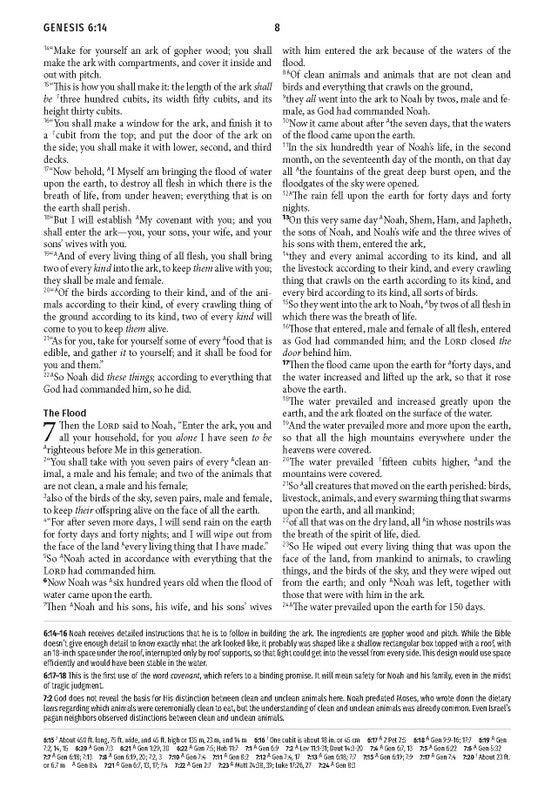 Light for Life NASB Study Bible : Blush Bouquet