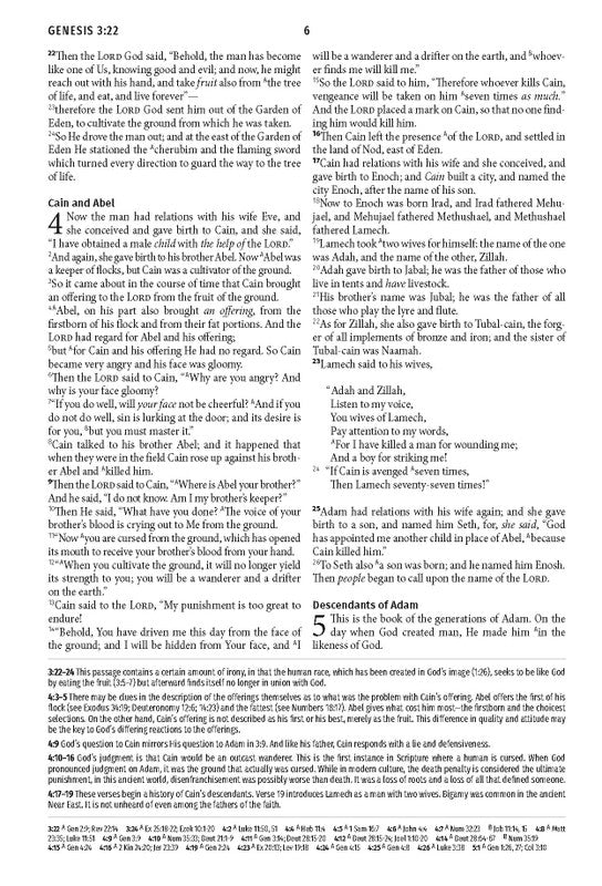 Light for Life NASB Study Bible : Blush Bouquet