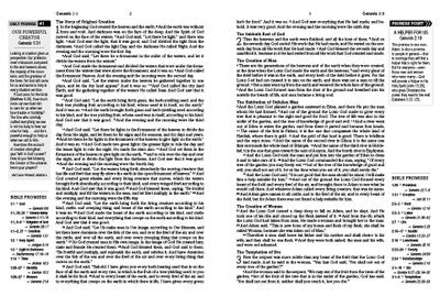 The Holy Bible: The Barbour Simplified KJV Bible Promise Book Edition - Chestnut Floral