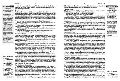 The Holy Bible: The Barbour Simplified KJV Bible Promise Book Edition - Chestnut Floral