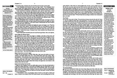 The Holy Bible: The Barbour Simplified KJV Bible Promise Book Edition - Chestnut Floral