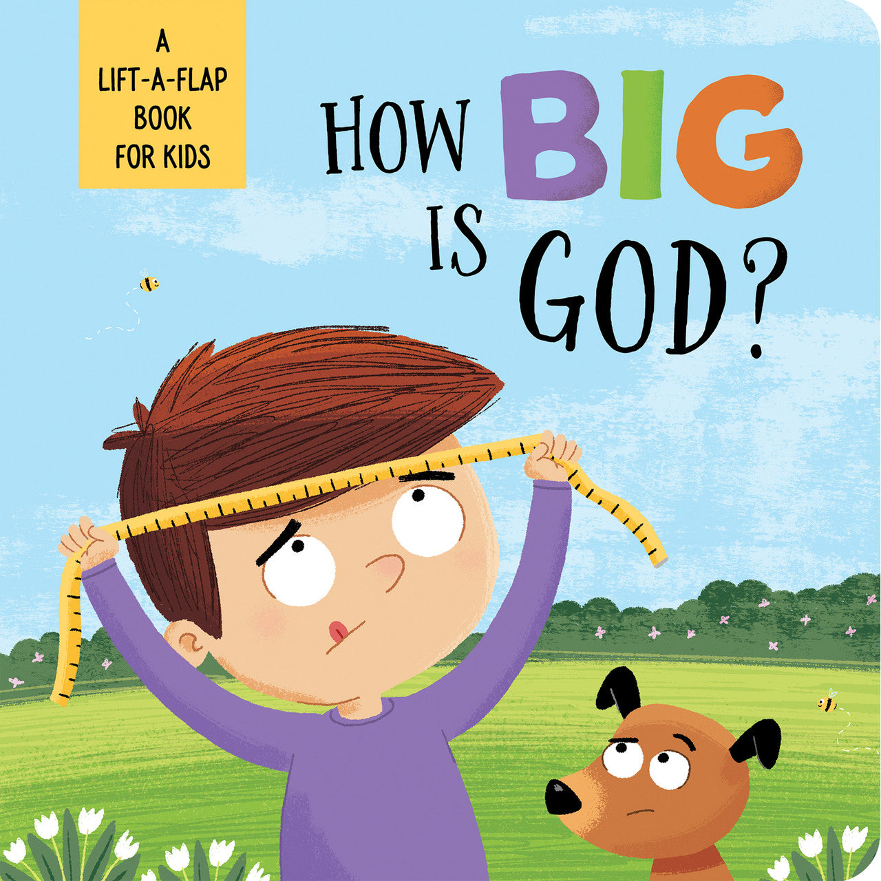 How Big is God? A Lift-A-Flap Book for Kids