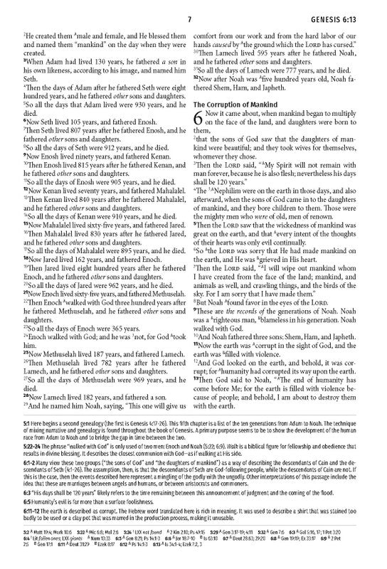 Light for Life NASB Study Bible : Blush Bouquet