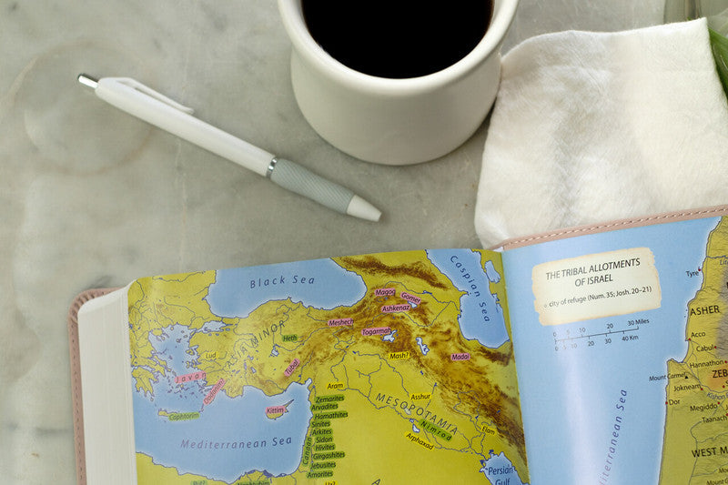 Light for Life NASB Study Bible : Blush Bouquet