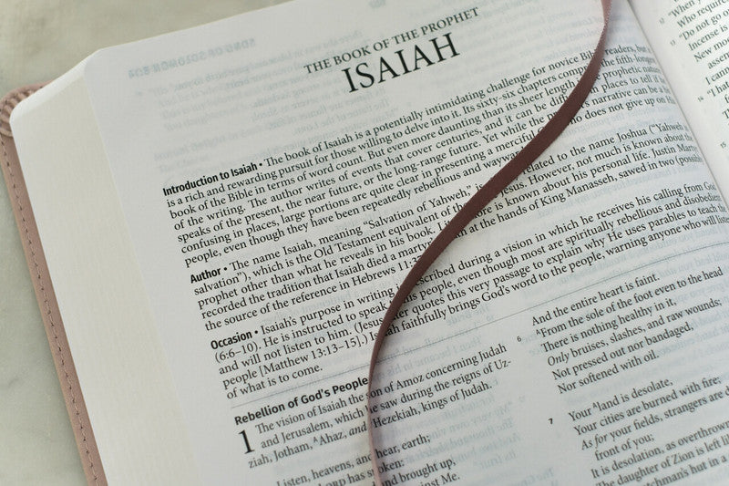 Light for Life NASB Study Bible : Blush Bouquet