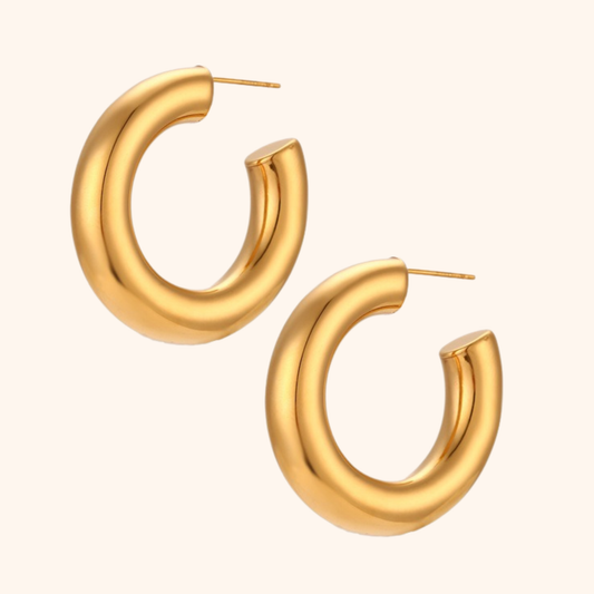 Echo Hoops