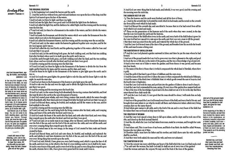 The 3-Minute Devotions for Women KJV Bible : Rose & Copper Florets