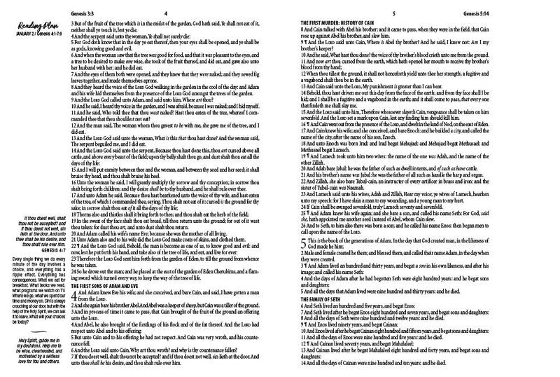 The 3-Minute Devotions for Women KJV Bible : Rose & Copper Florets