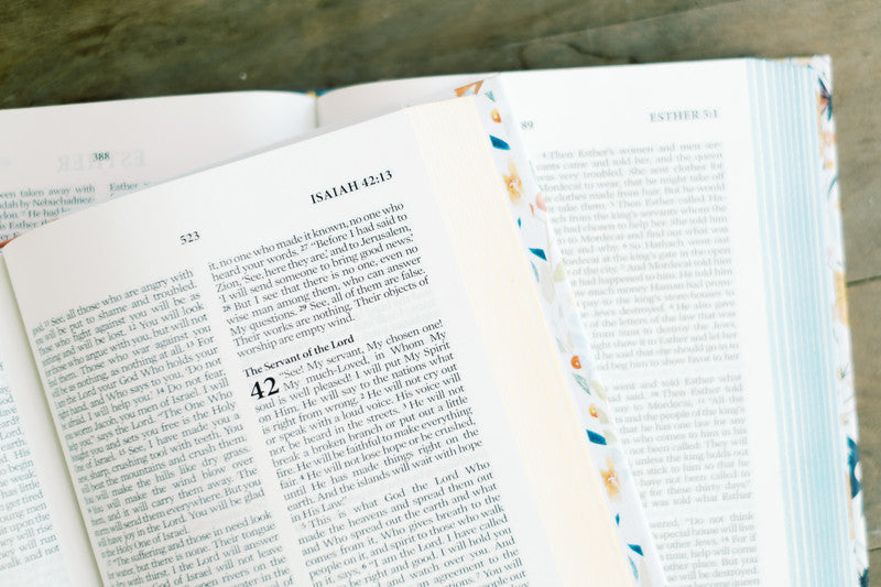 The Beautiful Wisdom NLT Bible : Teal Butterfly