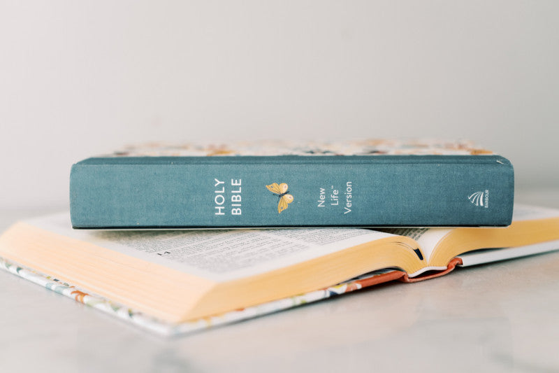 The Beautiful Wisdom NLT Bible : Teal Butterfly