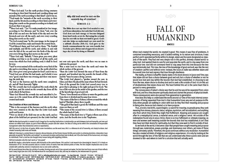 Light for Life NASB Study Bible : Golden Fields