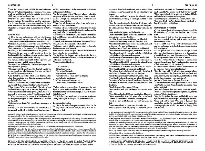 Light for Life NASB Study Bible : Golden Fields