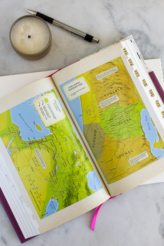 The KJV Study Bible: Atlas Edition : Wildflower Bouquet Thumb Indexed