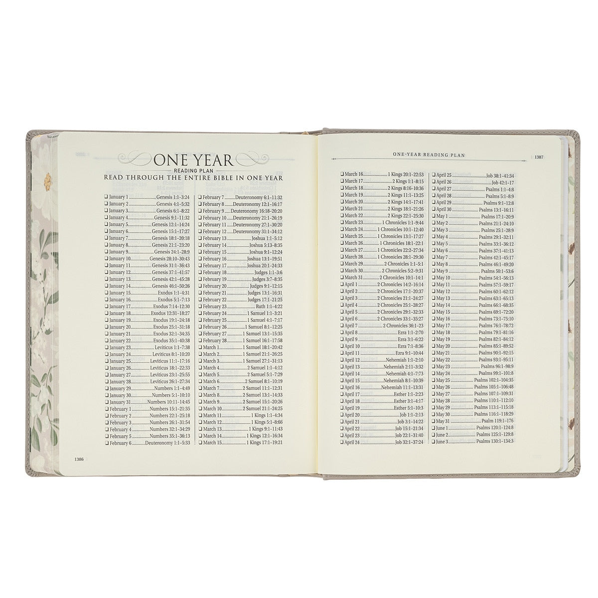 Trust Taupe Faux Leather Large Print King James Version Note-taking Bible - Proverbs 3:5