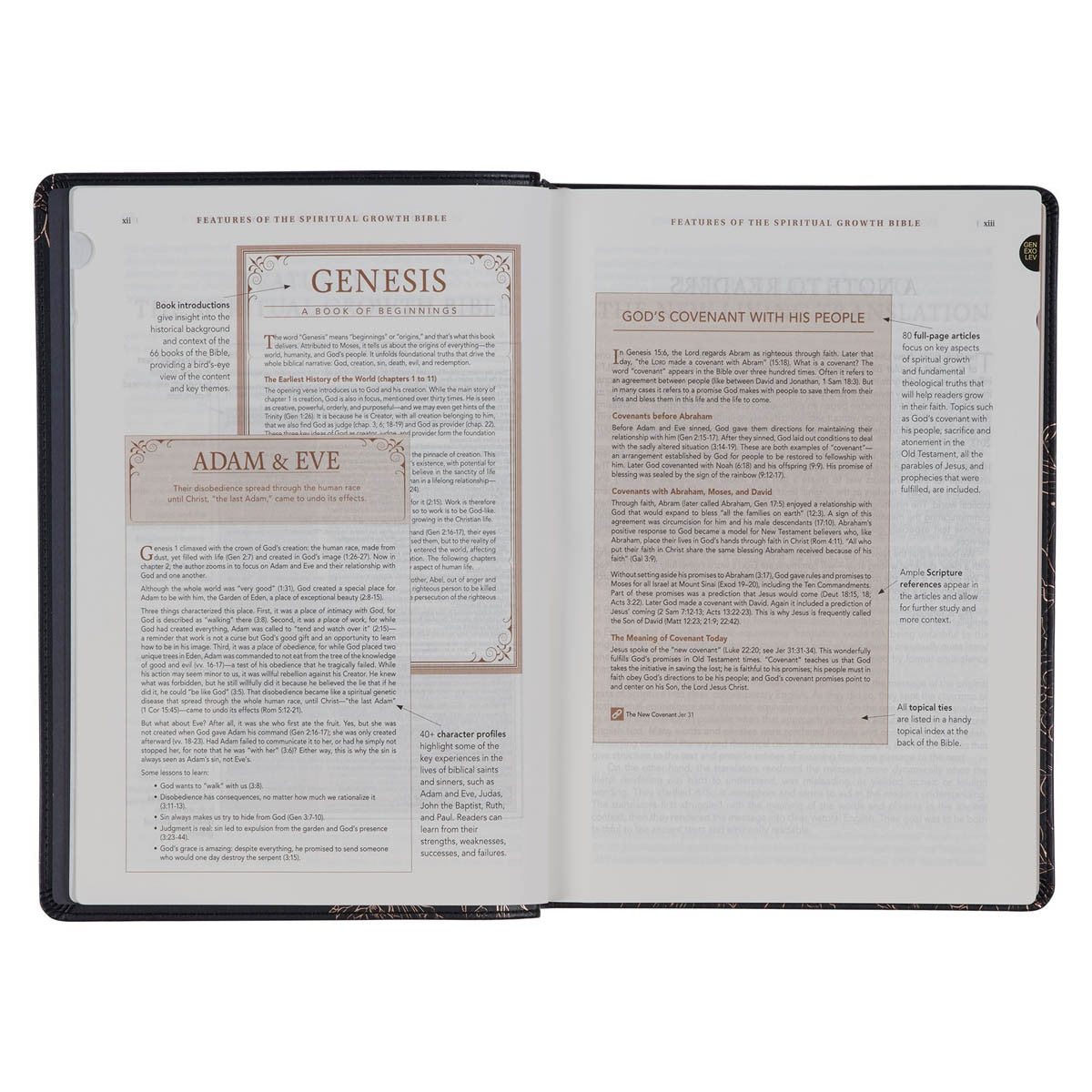 NLT, The Spiritual Growth Bible Faux Leather, Midnight Blue