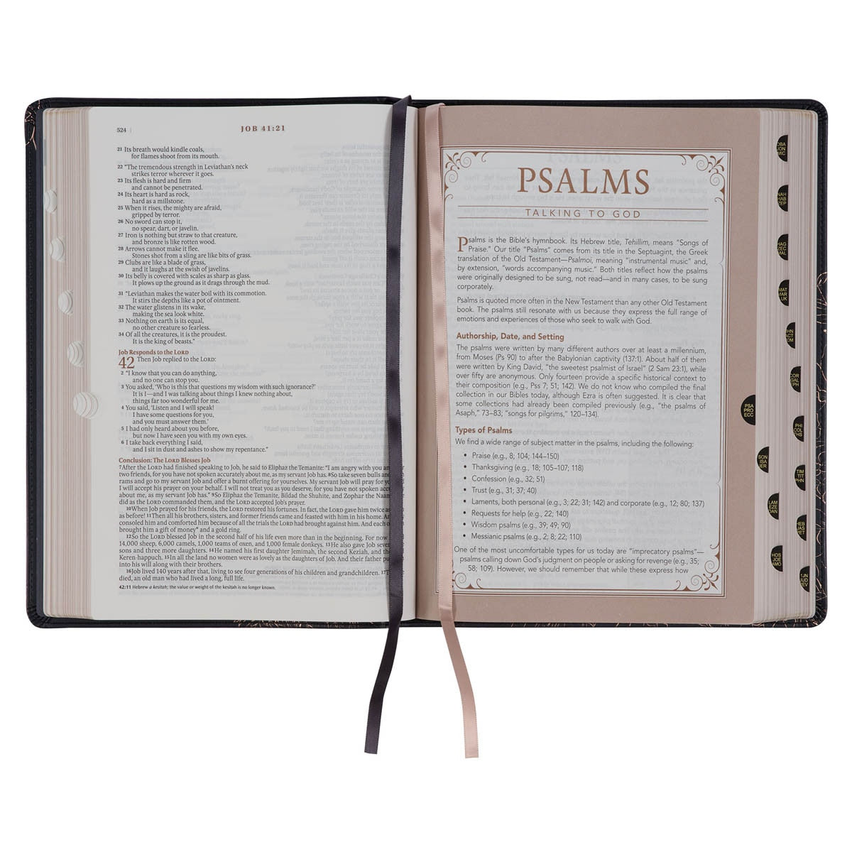 NLT, The Spiritual Growth Bible Faux Leather, Midnight Blue