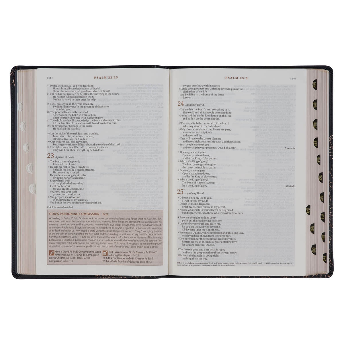 NLT, The Spiritual Growth Bible Faux Leather, Midnight Blue