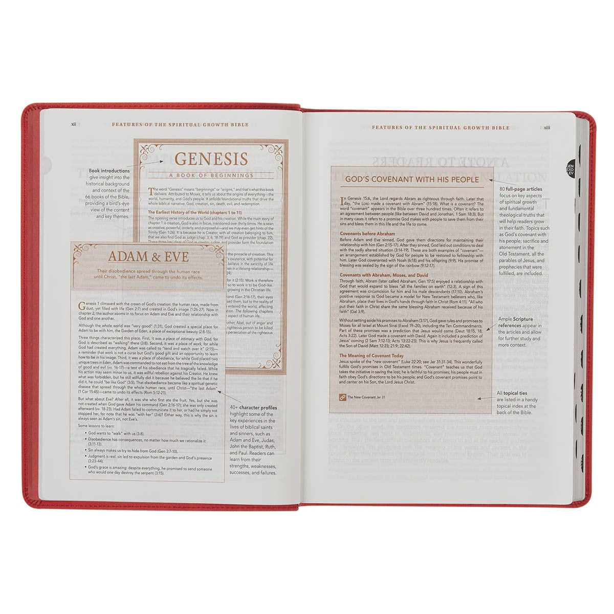 NLT, The Spiritual Growth Bible Faux Leather, Coral Vines