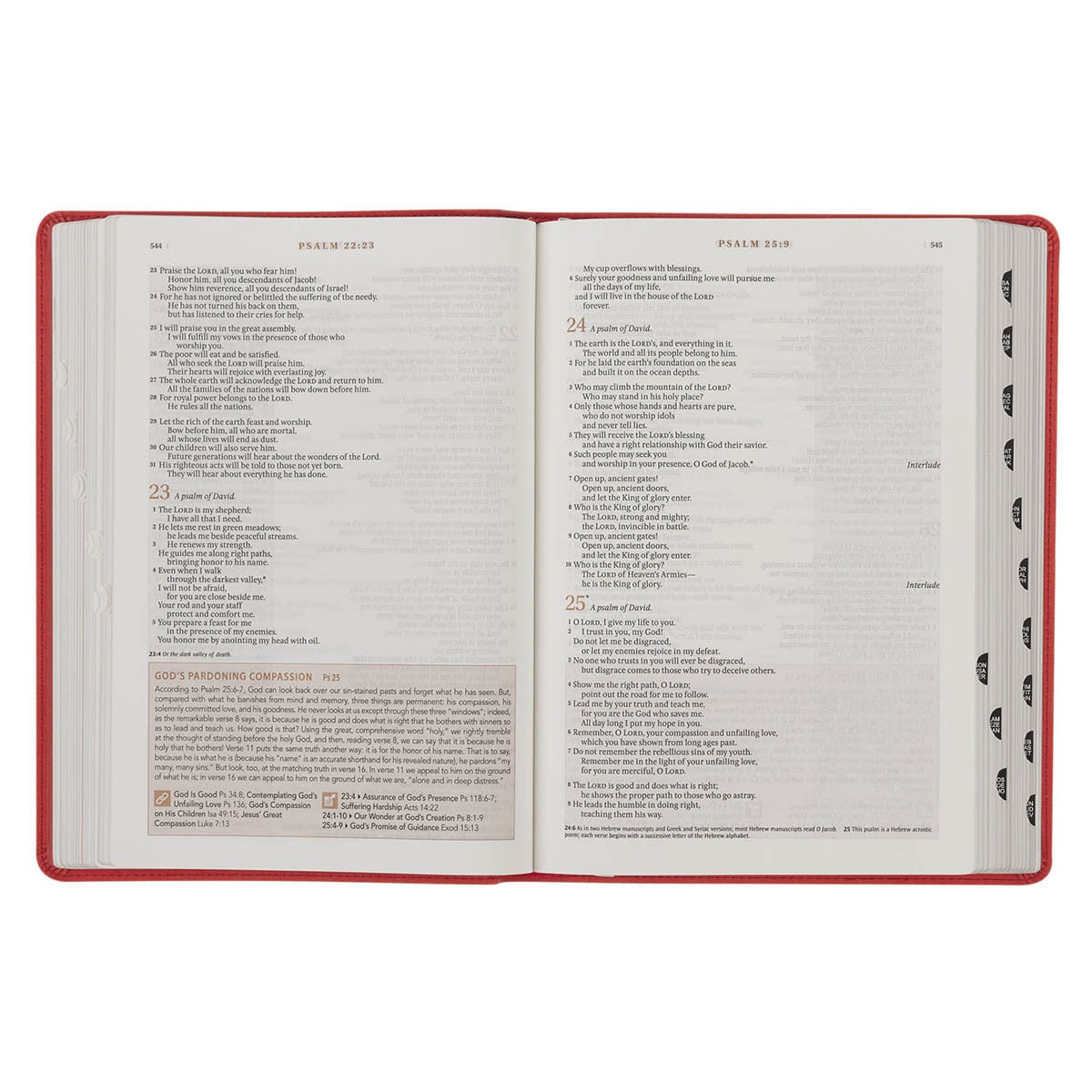 NLT, The Spiritual Growth Bible Faux Leather, Coral Vines