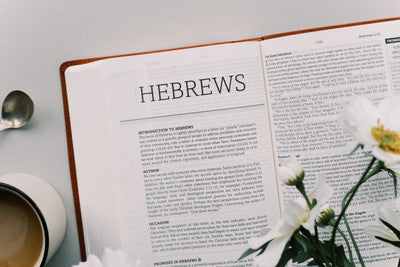 The Holy Bible: The Barbour Simplified KJV Bible Promise Book Edition - Chestnut Floral