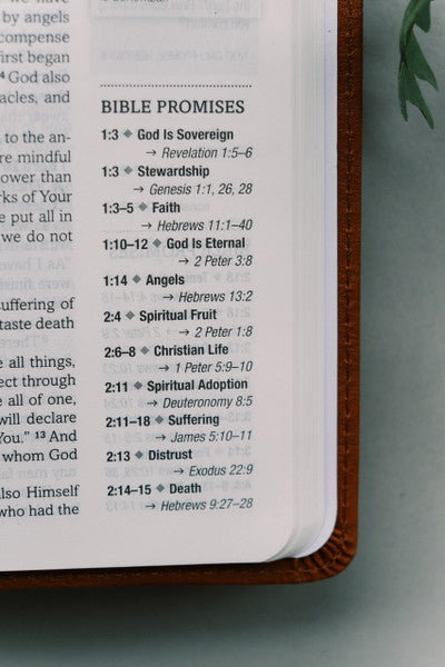 The Holy Bible: The Barbour Simplified KJV Bible Promise Book Edition - Chestnut Floral