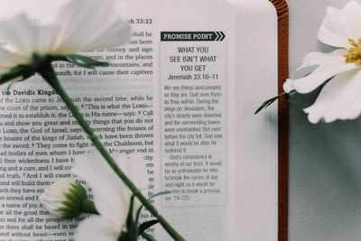The Holy Bible: The Barbour Simplified KJV Bible Promise Book Edition - Chestnut Floral