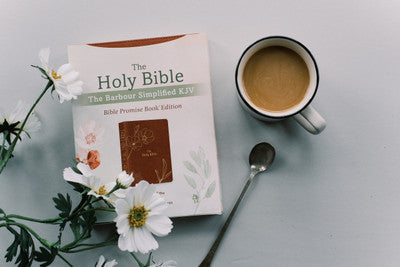 The Holy Bible: The Barbour Simplified KJV Bible Promise Book Edition - Chestnut Floral