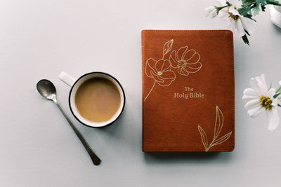 The Holy Bible: The Barbour Simplified KJV Bible Promise Book Edition - Chestnut Floral