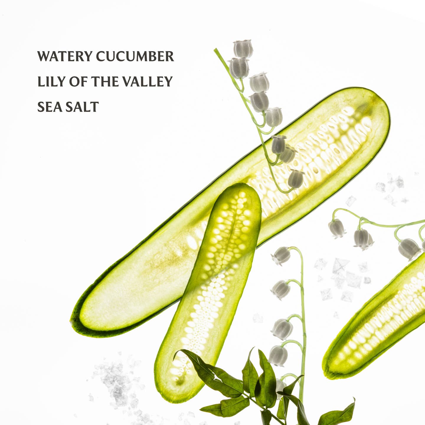 Touchland - Gentle Mist Ultra-Soothing Hand Sanitizer - Lily Of The Valley
