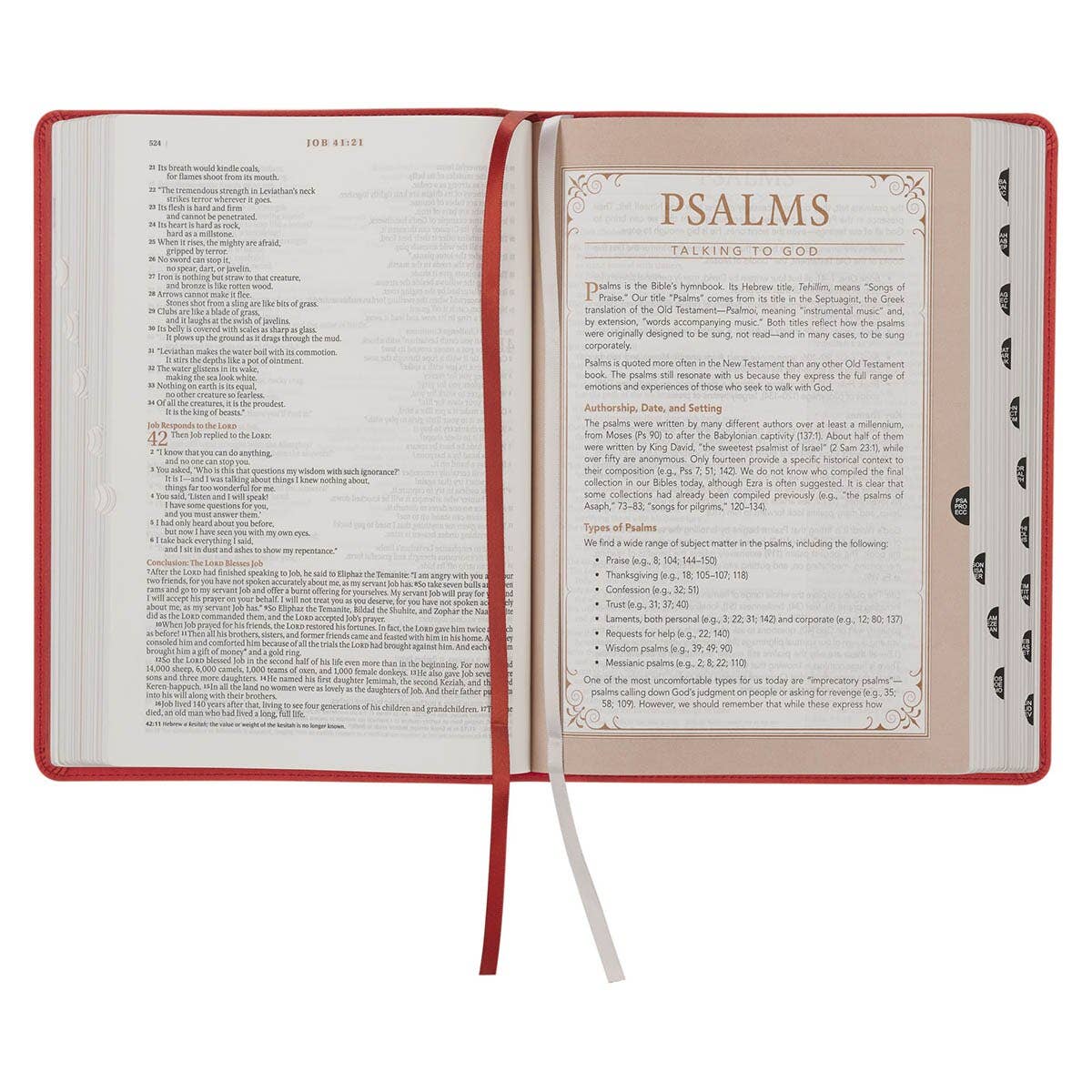 NLT, The Spiritual Growth Bible Faux Leather, Coral Vines