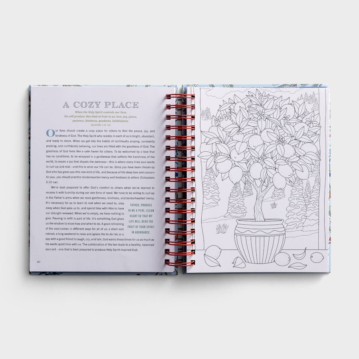 Cozy Moments to Calm Your Heart: Devotional Coloring Book