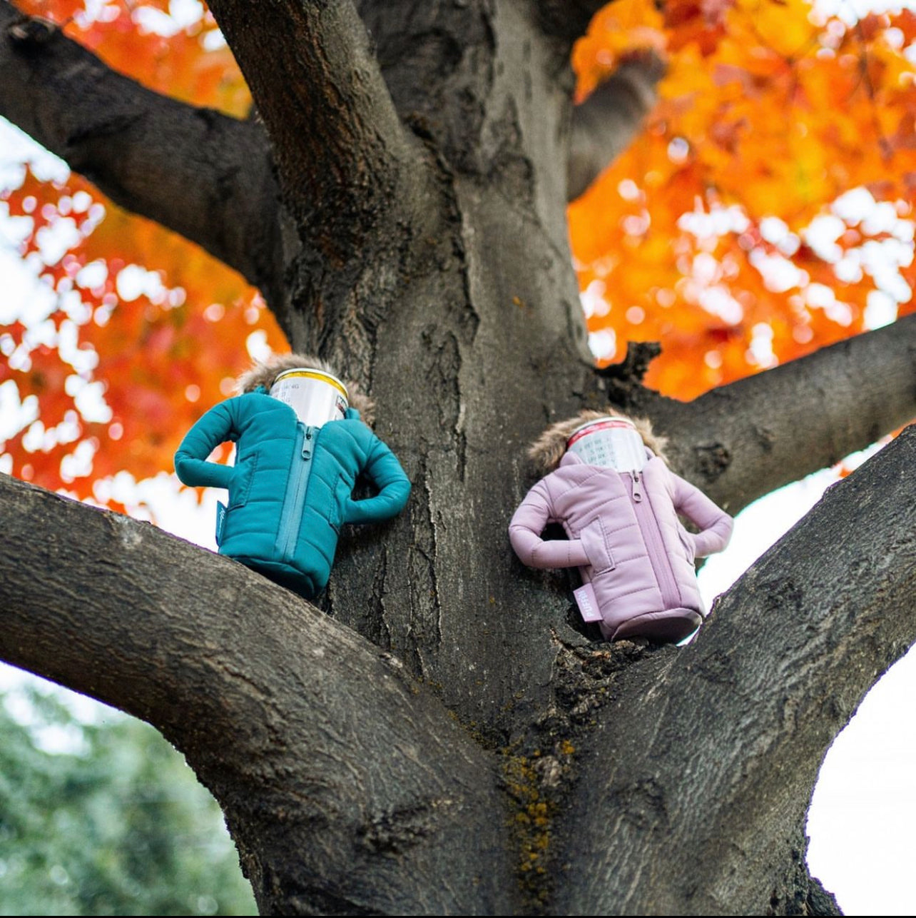 Puffin Can & Bottle Cooler Parka - TEAL